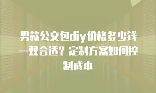男款公文包diy价格多少钱一双合适？定制方案如何控制成本