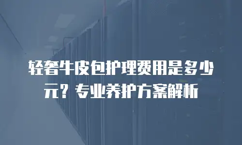 轻奢牛皮包护理费用是多少元？专业养护方案解析