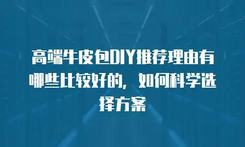 高端牛皮包DIY推荐理由有哪些比较好的，如何科学选择方案