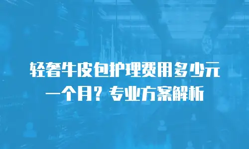 轻奢牛皮包护理费用多少元一个月？专业方案解析