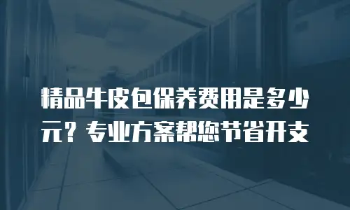 精品牛皮包保养费用是多少元？专业方案帮您节省开支