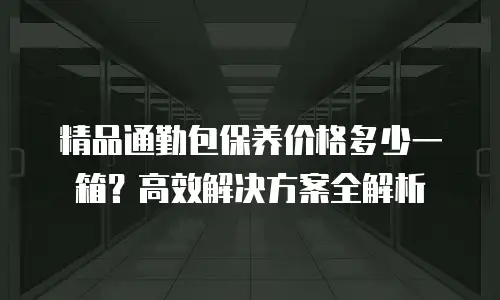 精品通勤包保养价格多少一箱？高效解决方案全解析