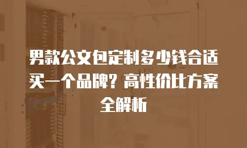 男款公文包定制多少钱合适买一个品牌？高性价比方案全解析