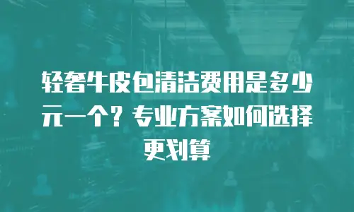 轻奢牛皮包清洁费用是多少元一个？专业方案如何选择更划算