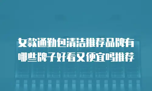 女款通勤包清洁推荐品牌有哪些牌子好看又便宜吗推荐