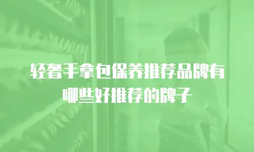 轻奢手拿包保养推荐品牌有哪些好推荐的牌子