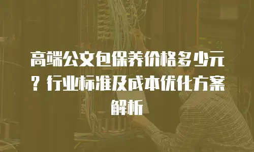 高端公文包保养价格多少元？行业标准及成本优化方案解析