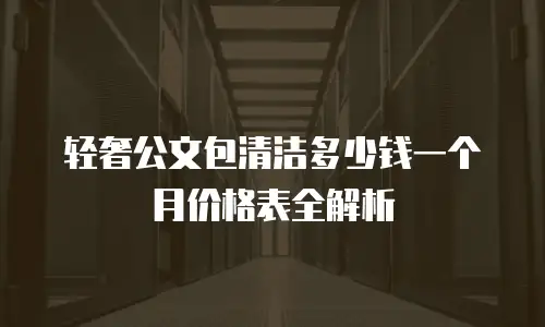 轻奢公文包清洁多少钱一个月价格表全解析