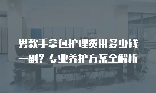 男款手拿包护理费用多少钱一副？专业养护方案全解析
