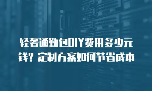 轻奢通勤包DIY费用多少元钱？定制方案如何节省成本