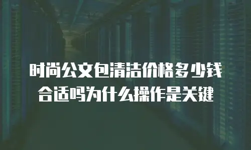 时尚公文包清洁价格多少钱合适吗为什么操作是关键