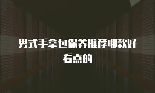 男式手拿包保养推荐哪款好看点的