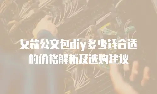 女款公文包diy多少钱合适的价格解析及选购建议