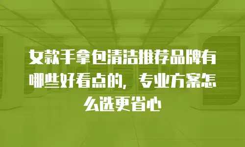 女款手拿包清洁推荐品牌有哪些好看点的，专业方案怎么选更省心