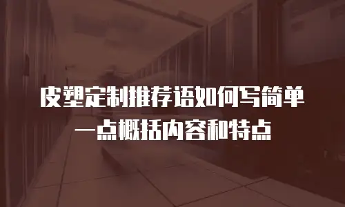 皮塑定制推荐语如何写简单一点概括内容和特点