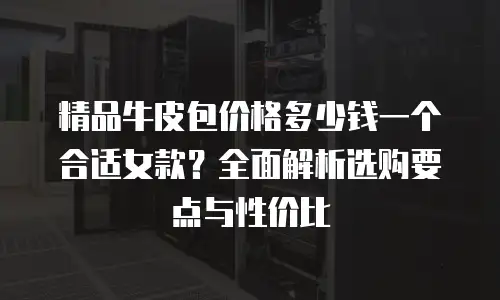 精品牛皮包价格多少钱一个合适女款？全面解析选购要点与性价比