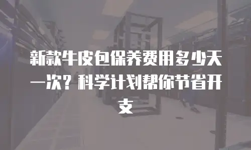 新款牛皮包保养费用多少天一次？科学计划帮你节省开支