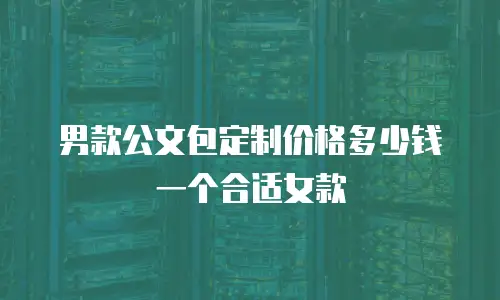 男款公文包定制价格多少钱一个合适女款