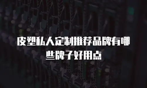 皮塑私人定制推荐品牌有哪些牌子好用点