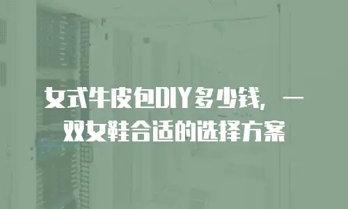 女式牛皮包DIY多少钱，一双女鞋合适的选择方案