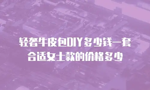 轻奢牛皮包DIY多少钱一套合适女士款的价格多少