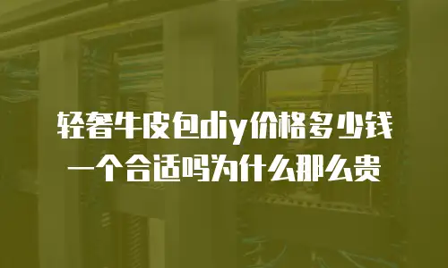 轻奢牛皮包diy价格多少钱一个合适吗为什么那么贵