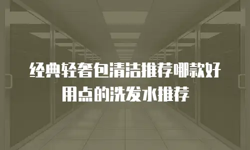 经典轻奢包清洁推荐哪款好用点的洗发水推荐