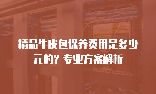 精品牛皮包保养费用是多少元的？专业方案解析