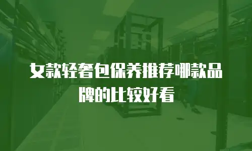 女款轻奢包保养推荐哪款品牌的比较好看