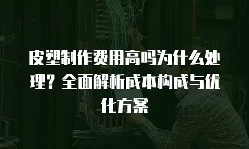 皮塑制作费用高吗为什么处理？全面解析成本构成与优化方案