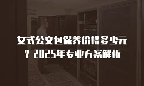 女式公文包保养价格多少元？2025年专业方案解析