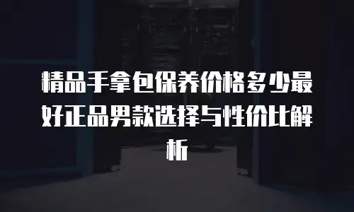 精品手拿包保养价格多少最好正品男款选择与性价比解析