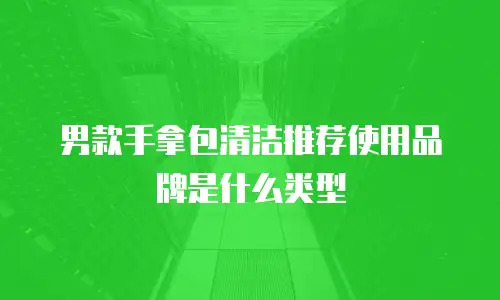 男款手拿包清洁推荐使用品牌是什么类型