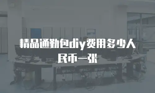 精品通勤包diy费用多少人民币一张