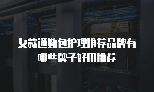 女款通勤包护理推荐品牌有哪些牌子好用推荐