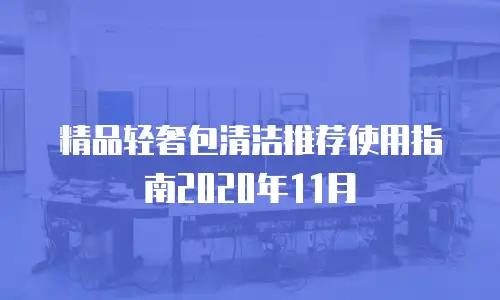精品轻奢包清洁推荐使用指南2020年11月