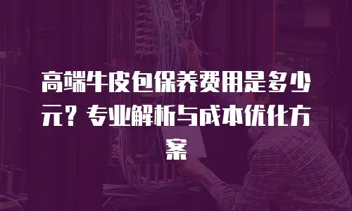 高端牛皮包保养费用是多少元？专业解析与成本优化方案