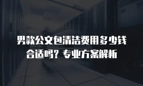 男款公文包清洁费用多少钱合适吗？专业方案解析