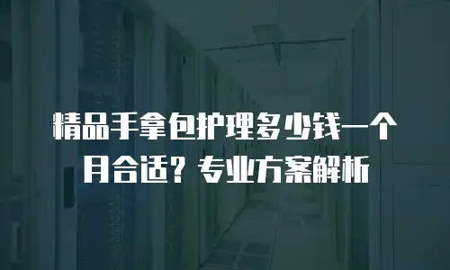 精品手拿包护理多少钱一个月合适？专业方案解析