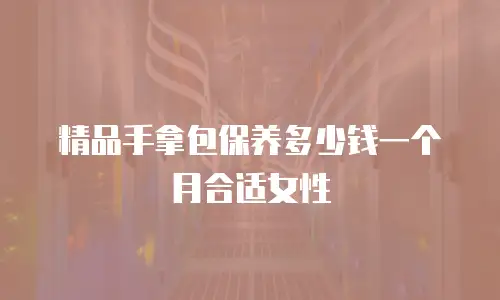 精品手拿包保养多少钱一个月合适女性