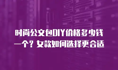 时尚公文包DIY价格多少钱一个？女款如何选择更合适