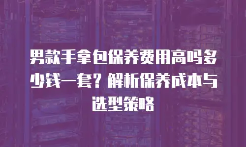 男款手拿包保养费用高吗多少钱一套？解析保养成本与选型策略
