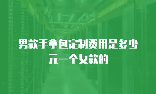 男款手拿包定制费用是多少元一个女款的