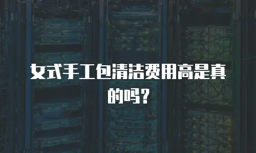 女式手工包清洁费用高是真的吗？