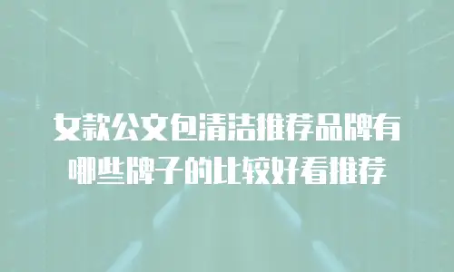 女款公文包清洁推荐品牌有哪些牌子的比较好看推荐