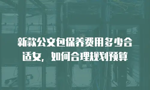 新款公文包保养费用多少合适女，如何合理规划预算