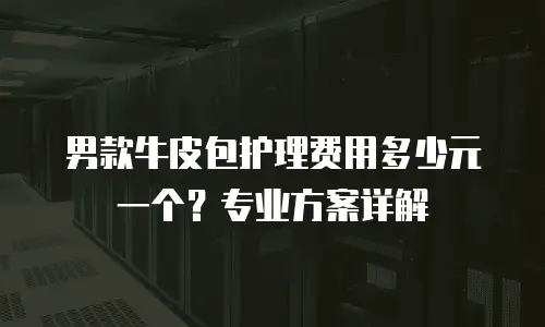 男款牛皮包护理费用多少元一个？专业方案详解