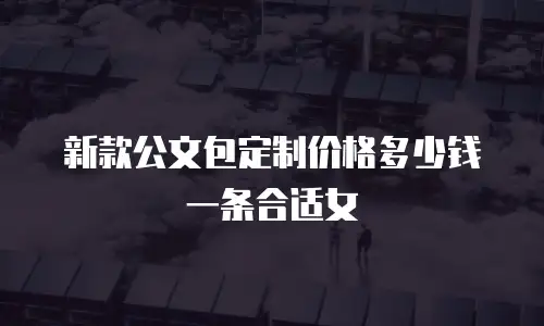 新款公文包定制价格多少钱一条合适女