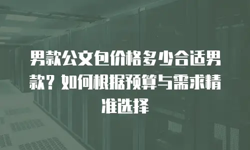 男款公文包价格多少合适男款？如何根据预算与需求精准选择