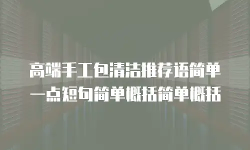 高端手工包清洁推荐语简单一点短句简单概括简单概括